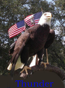 6a019b01b37da1970b019b0280bb4f970c